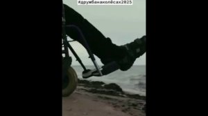 Дружба на колёсах