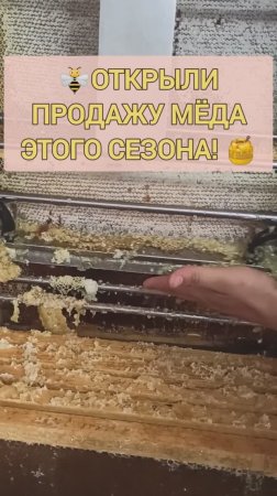 🍯  МЁДОГОНКА ЗАПУЩЕНА! Свежий Алтайский мёд 2025 – с полей прямо к вам домой. Заказы открыты!