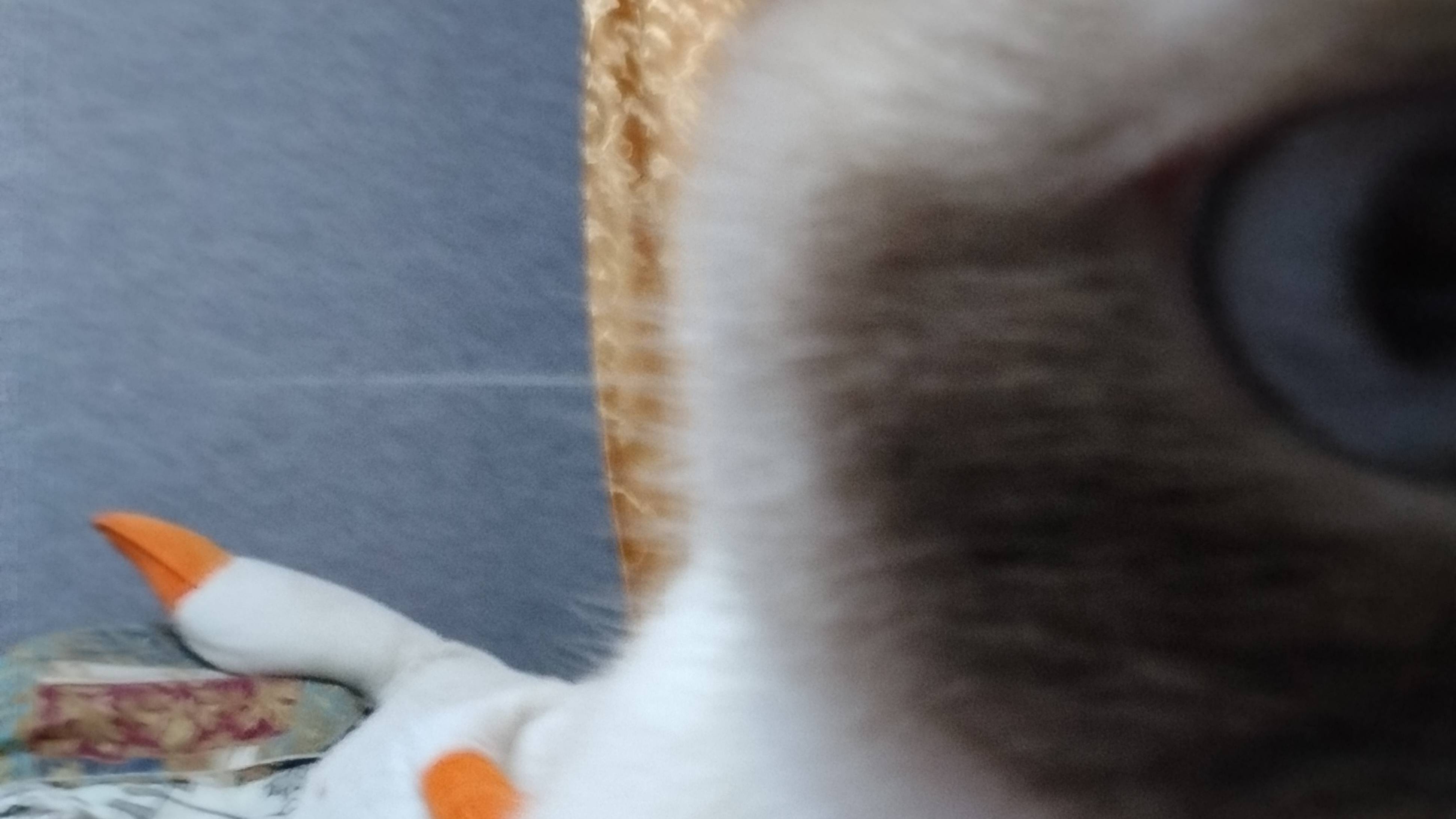 Съëмка сериала кошак в большом городе 1