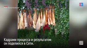 Ноябрянин сам закоптил весенних язей