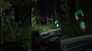 Легкий offroad на вжике