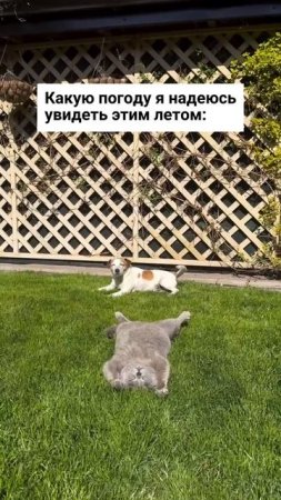 Все обязательно будет