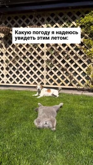 Все обязательно будет