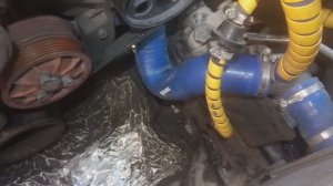 Нижний патрубок радиатора 1