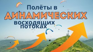 Парящие полёты в динамических восходящих потоках.