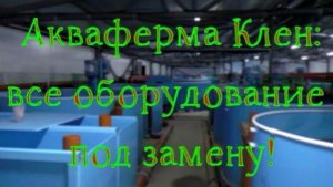 Акваферма «Клен»: проблемы с оборудованием
