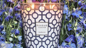 Baobab Collection SCREEN PRINTING