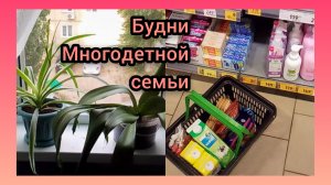 Небольшая Покупка/Продолжается Ремонт/Отдыхаем от Жары)