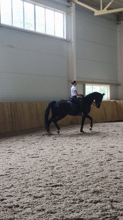 Оксана Новикова и Дольче Вита, выездные старты, самостоятельная работа.