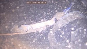 Кур обл Октябрь 1