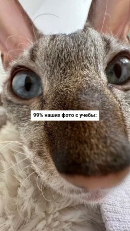 Самые классные фотографии!
