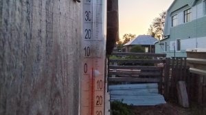 Уже неделю без мужа / убираю петушков / у кого что, а у меня куры 🤷.