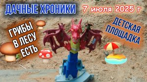 Грибы есть, но комары злые. Детская площадка в дачном поселке