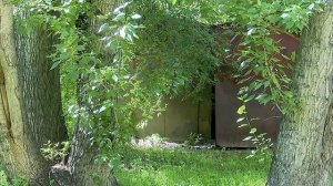 Гаражи, установленные в зелёной зоне на ул. Мухачёва, не устраивают местных жителей