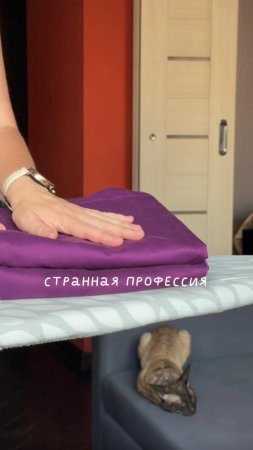 Странная профессия!