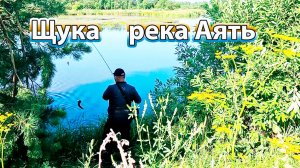 Первая щука на спиннинг на реке Аять в середине июля.