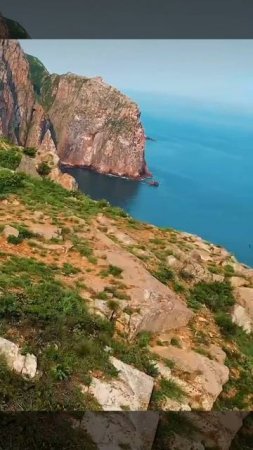 Не благодарите