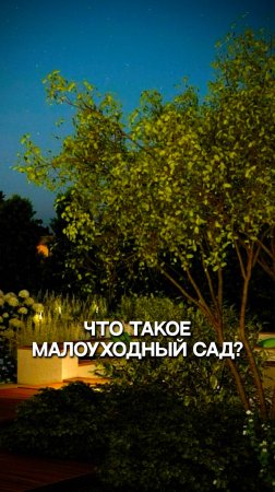 Что такое малоуходный сад