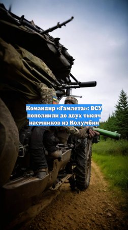 Командир «Гамлета»: ВСУ пополнили до двух тысяч наемников из Колумбии