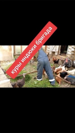 # кузнец # хозяйство