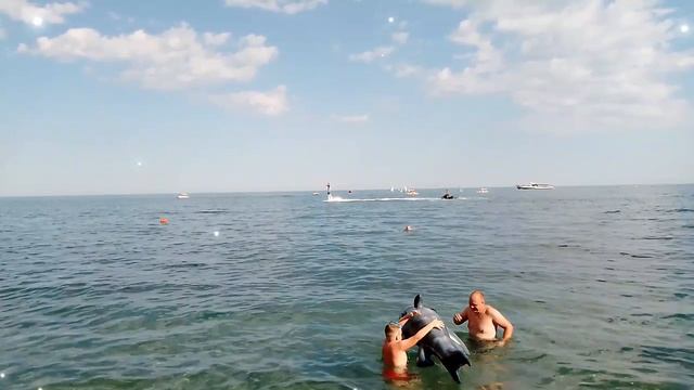 Ялта Масандровский пляж отдых под песню
Ира Праздник. Воспоминание о море