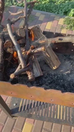 СВИНЫЕ СТЕЙКИ НА ВИШНЕВЫХ ДРОВАХ