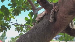 Летим в Сочи -Адлер ,Сириус 2025 (Перемотка- Самолёты)