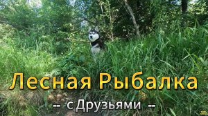 ЛЕСНАЯ РЫБАЛКА ОТДЫХ С ДРУЗЬЯМИ ПРИРОДА СКАЗКА