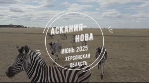 Поездка в Аскания-Нова. Биосферный заповедник имени Ф. Э. Фальц-Фейна. Июнь 2025 года