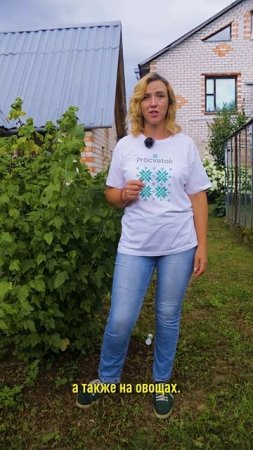 Стоп, болезни и вредители! Один препарат от всех проблем в саду и огороде!