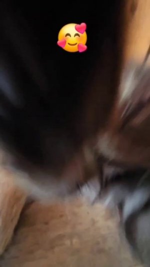 Добрый вечер 🌞❤️🥰🐈⬛🌛