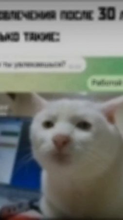 scene_output.mp4