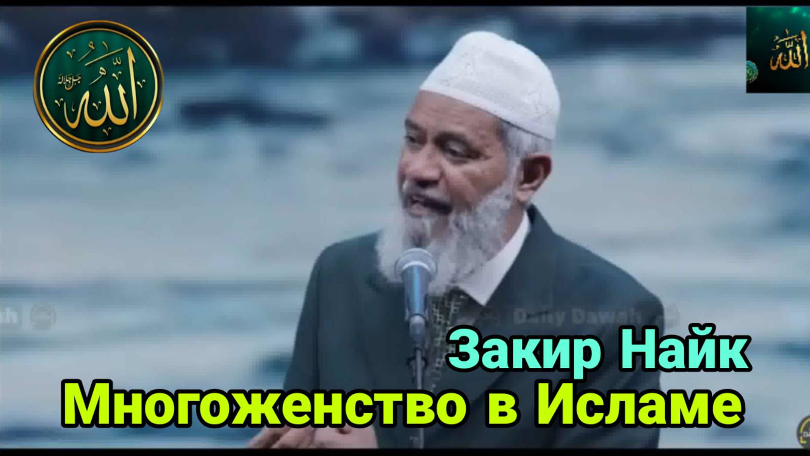 Многоженство в Исламе смотреть онлайн