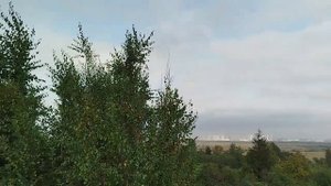Санкт-Петербург . Пулковские высоты