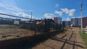 ВЕРБЛЮД