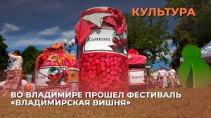 Во Владимире прошел фестиваль «Владимирская вишня»