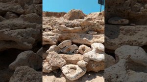 Биофантастика это реальность!