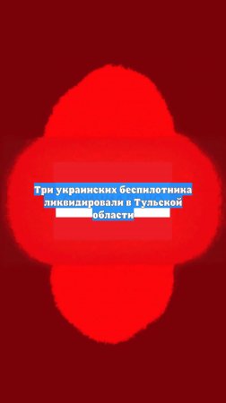 Три украинских беспилотника ликвидировали в Тульской области