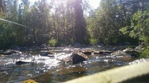 Эпизод 23. ловлю хариуса на маленькой речке