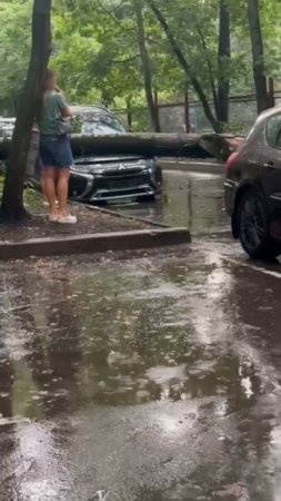 🌳На 11-Парковой дерево упало на машину🌳
