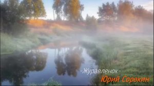 Журавленок. Юрий Сорокин.