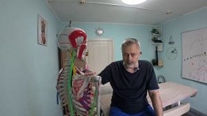 Височно-нижнечелюстной сустав. Мышцы влияющие на ВНЧС