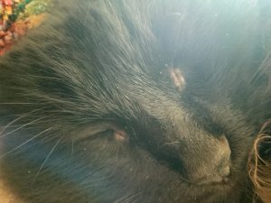 Я у дедушки и бабушки повторяю Я не в деревне сейчас поздний вечер уютно