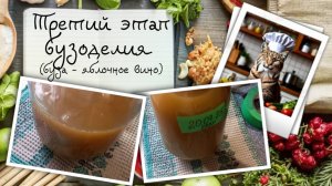 Третий этап бузоделия (финал)