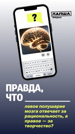 ПОЛУШАРИЯ МОЗГА ОТВЕЧАЮТ ЗА РАЗНОЕ?