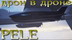 PELE - разведывательный дрон для беспилотного разведчика MQ-9B.