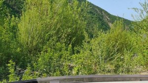 Джигитовка. Приморье. Дорога - не-дорога. Май,2025