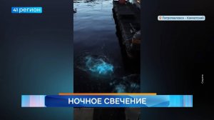 Новости Камчатки за 22 июля 2025 года