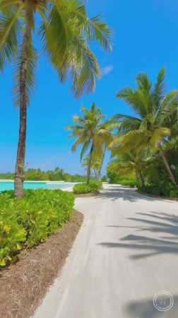 Мальдивы - райский уголок❤🌴