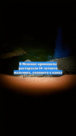 В Мексике крокодилы растерзали 14-летнего мальчика, упавшего в канал